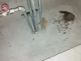 休宁卫生间测漏水价格明细